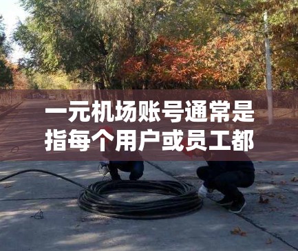 一元机场账号通常是指每个用户或员工都使用一个独立的账号进行登录和操作。因此,理论上,一元机场账号是可以在不同用户之间共用的。以下是关于一元机场账号是否可以共用的一些关键点 一元机场账号通常是指每个用户或员工都使用一个独立的账号进行登录和操作。因此,理论上,一元机场账号是可以在不同用户之间共用的。以下是关于一元机场账号是否可以共用的一些关键点