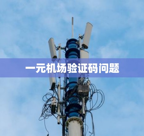 一元机场验证码问题 一元机场验证码问题