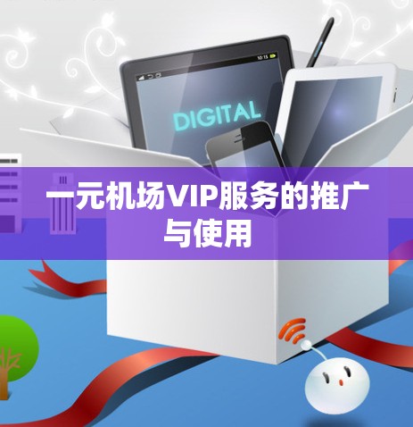 一元机场VIP服务的推广与使用 一元机场VIP服务的推广与使用