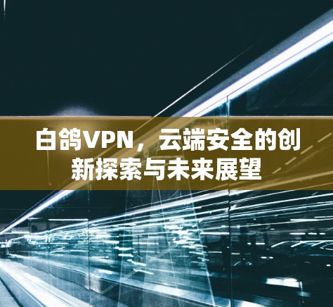 白鸽VPN,云端安全的创新探索与未来展望 白鸽VPN,云端安全的创新探索与未来展望