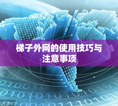 梯子外网的使用技巧与注意事项 梯子外网的使用技巧与注意事项