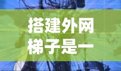 搭建外网梯子是一个系统工程,通常需要遵循以下步骤,确保设备安全可靠 搭建外网梯子是一个系统工程,通常需要遵循以下步骤,确保设备安全可靠