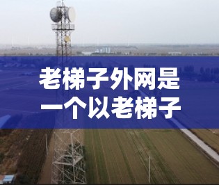 老梯子外网是一个以老梯子为主题的专业网站或平台,旨在推广产品、服务或内容。以下是一个结构化的回答,涵盖关键词、主题、潜在挑战以及实用建议 老梯子外网是一个以老梯子为主题的专业网站或平台,旨在推广产品、服务或内容。以下是一个结构化的回答,涵盖关键词、主题、潜在挑战以及实用建议
