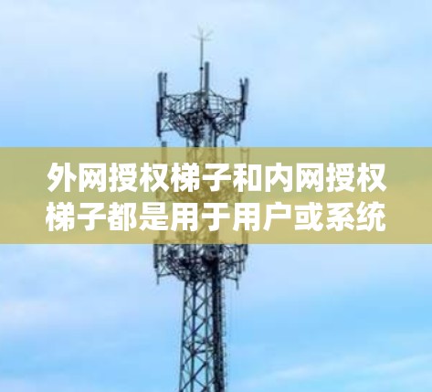 外网授权梯子和内网授权梯子都是用于用户或系统在外部或内部网络上登录、管理权限和安全工具的工具。以下是它们的不同之处和用途 外网授权梯子和内网授权梯子都是用于用户或系统在外部或内部网络上登录、管理权限和安全工具的工具。以下是它们的不同之处和用途