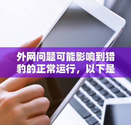 外网问题可能影响到猎豹的正常运行,以下是针对这种情况的逐步解决方案 外网问题可能影响到猎豹的正常运行,以下是针对这种情况的逐步解决方案