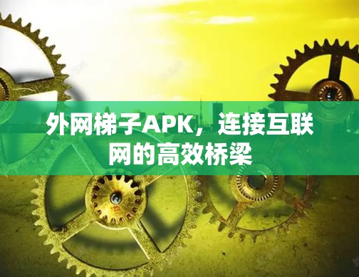 外网梯子APK,连接互联网的高效桥梁 外网梯子APK,连接互联网的高效桥梁