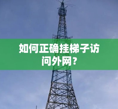 如何正确挂梯子访问外网? 如何正确挂梯子访问外网?
