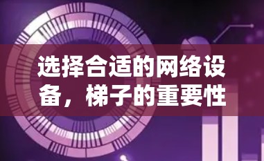 选择合适的网络设备,梯子的重要性 选择合适的网络设备,梯子的重要性