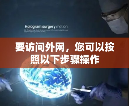 要访问外网,您可以按照以下步骤操作 要访问外网,您可以按照以下步骤操作