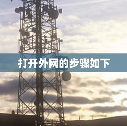 打开外网的步骤如下 打开外网的步骤如下