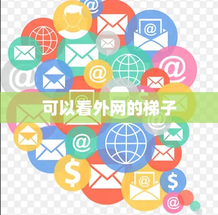 可以看外网的梯子 可以看外网的梯子