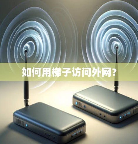 如何用梯子访问外网? 如何用梯子访问外网?
