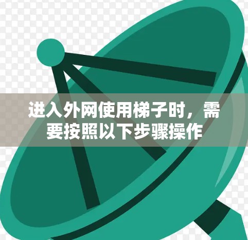进入外网使用梯子时,需要按照以下步骤操作 进入外网使用梯子时,需要按照以下步骤操作