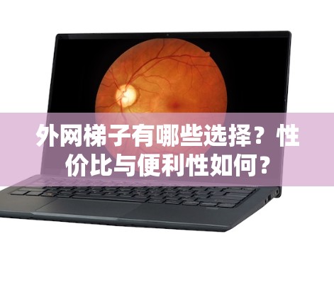 外网梯子有哪些选择?性价比与便利性如何? 外网梯子有哪些选择?性价比与便利性如何?