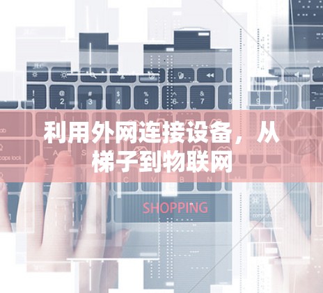 利用外网连接设备,从梯子到物联网 利用外网连接设备,从梯子到物联网