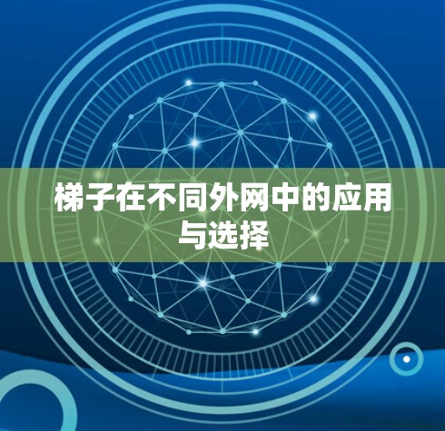 梯子在不同外网中的应用与选择 梯子在不同外网中的应用与选择