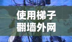 使用梯子翻墙外网是一个安全且有效的方法,但需要注意以下几点以确保成功 使用梯子翻墙外网是一个安全且有效的方法,但需要注意以下几点以确保成功