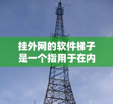 挂外网的软件梯子是一个指用于在内部服务器与外部Web服务器之间进行连接的链式结构,涵盖了从内部服务器到外部服务器的所有必要的步骤和工具。以下是该概念的详细解释 挂外网的软件梯子是一个指用于在内部服务器与外部Web服务器之间进行连接的链式结构,涵盖了从内部服务器到外部服务器的所有必要的步骤和工具。以下是该概念的详细解释