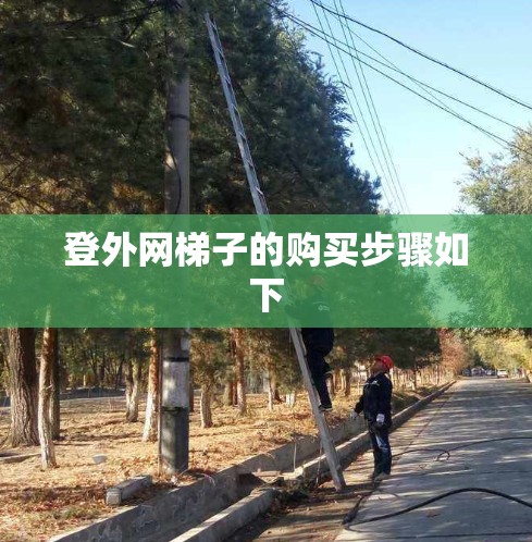 登外网梯子的购买步骤如下 登外网梯子的购买步骤如下