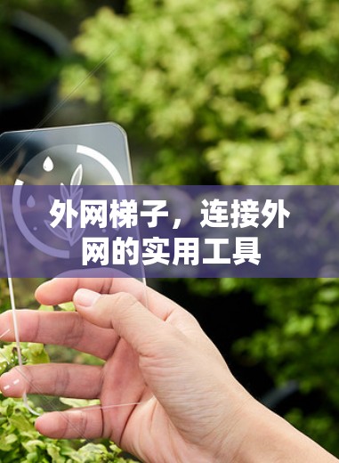 外网梯子,连接外网的实用工具 外网梯子,连接外网的实用工具
