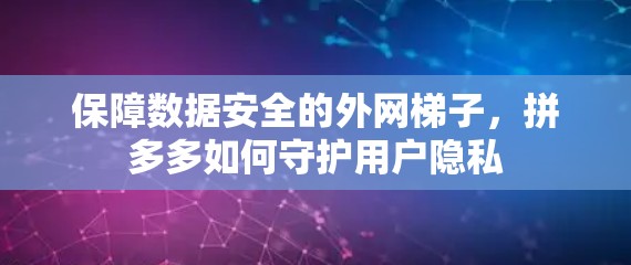 保障数据安全的外网梯子,拼多多如何守护用户隐私 保障数据安全的外网梯子,拼多多如何守护用户隐私