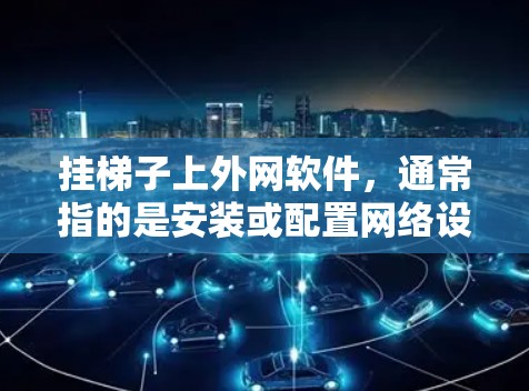 挂梯子上外网软件,通常指的是安装或配置网络设备,如路由器或 switches。以下是详细的步骤指南 挂梯子上外网软件,通常指的是安装或配置网络设备,如路由器或 switches。以下是详细的步骤指南