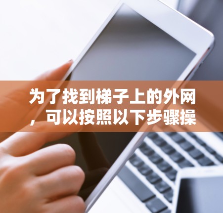 为了找到梯子上的外网,可以按照以下步骤操作 为了找到梯子上的外网,可以按照以下步骤操作