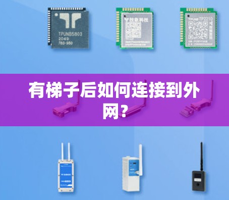 有梯子后如何连接到外网? 有梯子后如何连接到外网?