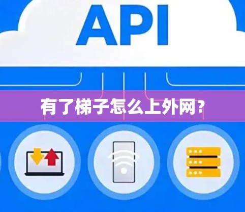 有了梯子怎么上外网? 有了梯子怎么上外网?