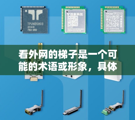 看外网的梯子是一个可能的术语或形象,具体含义可能取决于上下文。以下是对此的分析 看外网的梯子是一个可能的术语或形象,具体含义可能取决于上下文。以下是对此的分析