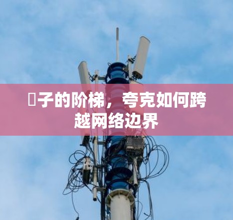 腣子的阶梯,夸克如何跨越网络边界 腣子的阶梯,夸克如何跨越网络边界