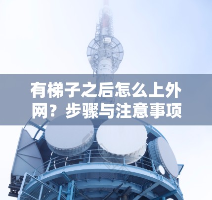 有梯子之后怎么上外网?步骤与注意事项详解 有梯子之后怎么上外网?步骤与注意事项详解