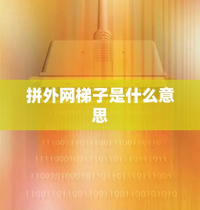 拼外网梯子是什么意思 拼外网梯子是什么意思
