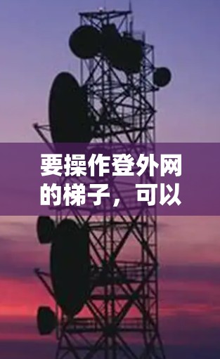 要操作登外网的梯子,可以按照以下步骤进行 要操作登外网的梯子,可以按照以下步骤进行
