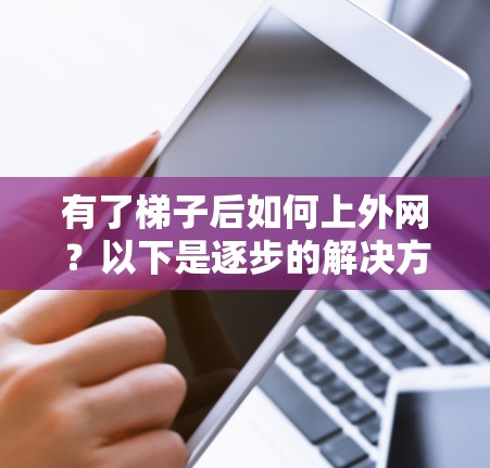 有了梯子后如何上外网?以下是逐步的解决方案 有了梯子后如何上外网?以下是逐步的解决方案