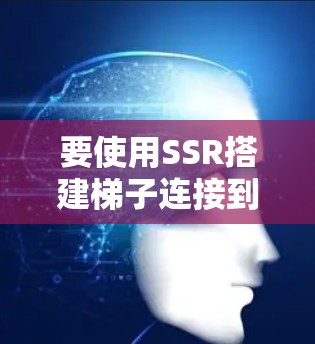 要使用SSR搭建梯子连接到外网,按照以下步骤操作 要使用SSR搭建梯子连接到外网,按照以下步骤操作