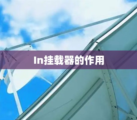 In挂载器的作用 In挂载器的作用