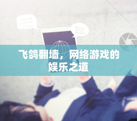 飞鸽翻墙,网络游戏的娱乐之道 飞鸽翻墙,网络游戏的娱乐之道