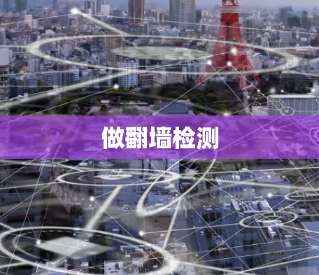 做翻墙检测 做翻墙检测