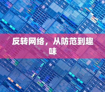 反转网络,从防范到趣味 反转网络,从防范到趣味