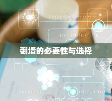 翻墙的必要性与选择 翻墙的必要性与选择