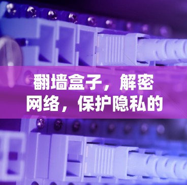 翻墙盒子,解密网络,保护隐私的高效工具 翻墙盒子,解密网络,保护隐私的高效工具