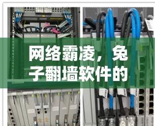 网络霸凌,兔子翻墙软件的生存之道 网络霸凌,兔子翻墙软件的生存之道