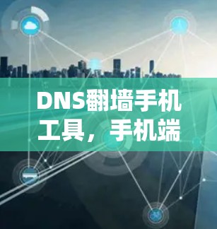 DNS翻墙手机工具,手机端便捷上网新选择 DNS翻墙手机工具,手机端便捷上网新选择
