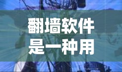 翻墙软件是一种用于隐藏或删除个人电脑上的网络链接(URL)的软件,以保护个人隐私和网络安全。以下是一些常见的翻墙软件及其特点,供您选择 翻墙软件是一种用于隐藏或删除个人电脑上的网络链接(URL)的软件,以保护个人隐私和网络安全。以下是一些常见的翻墙软件及其特点,供您选择