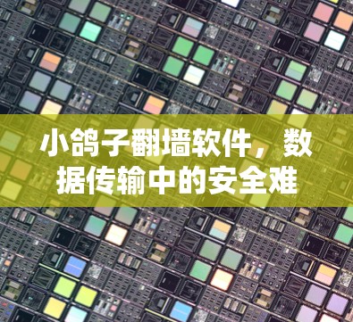 小鸽子翻墙软件,数据传输中的安全难题 小鸽子翻墙软件,数据传输中的安全难题
