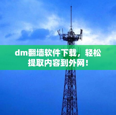 dm翻墙软件下载,轻松提取内容到外网! dm翻墙软件下载,轻松提取内容到外网!