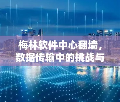 梅林软件中心翻墙,数据传输中的挑战与解决方案 梅林软件中心翻墙,数据传输中的挑战与解决方案