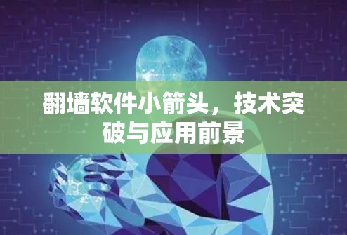 翻墙软件小箭头,技术突破与应用前景