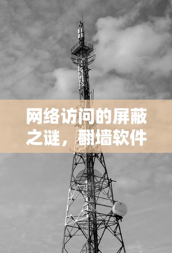 网络访问的屏蔽之谜,翻墙软件背后的网络安全挑战 网络访问的屏蔽之谜,翻墙软件背后的网络安全挑战